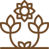 Elegant Designs